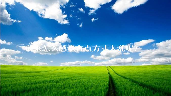 蔚来怎么感觉有点方寸大乱呢？