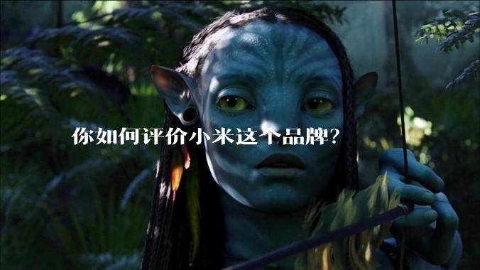 你如何评价小米这个品牌？